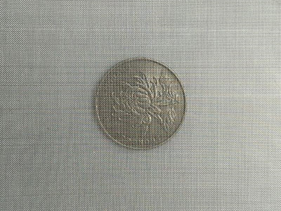 100目不銹鋼篩網(wǎng)